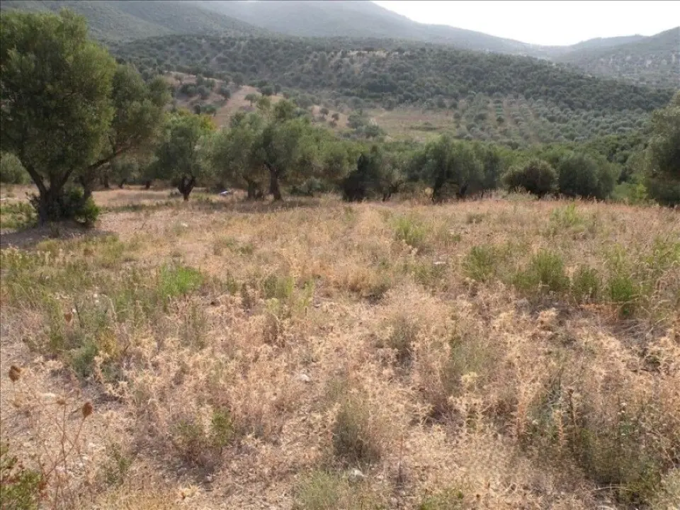 Land Of 7500 M² In Sithonia, Chalkidiki