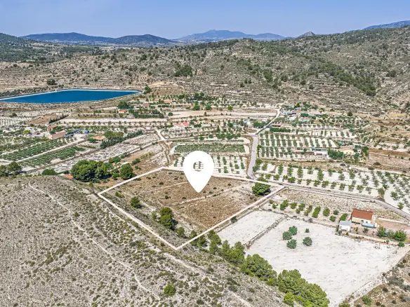 Country Land Of 0 M² In Monovar, Spain