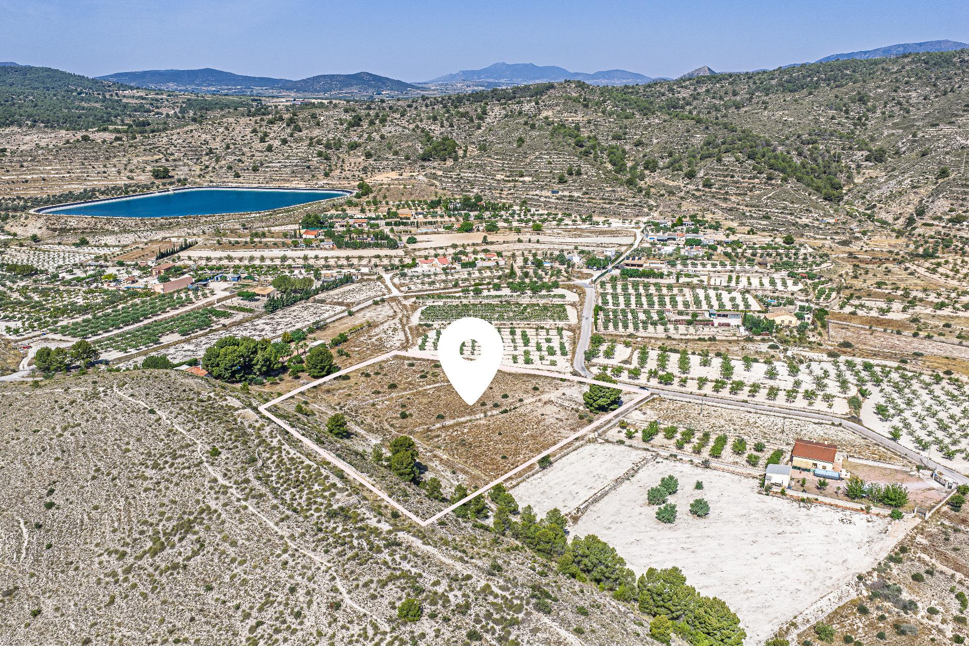 Country Land Of 0 M² In Monovar, Spain
