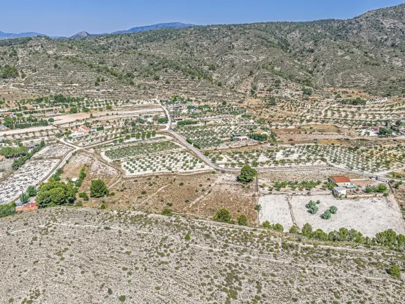 Country Land In Monovar – Monover, Spain (11.700 M² Plot)