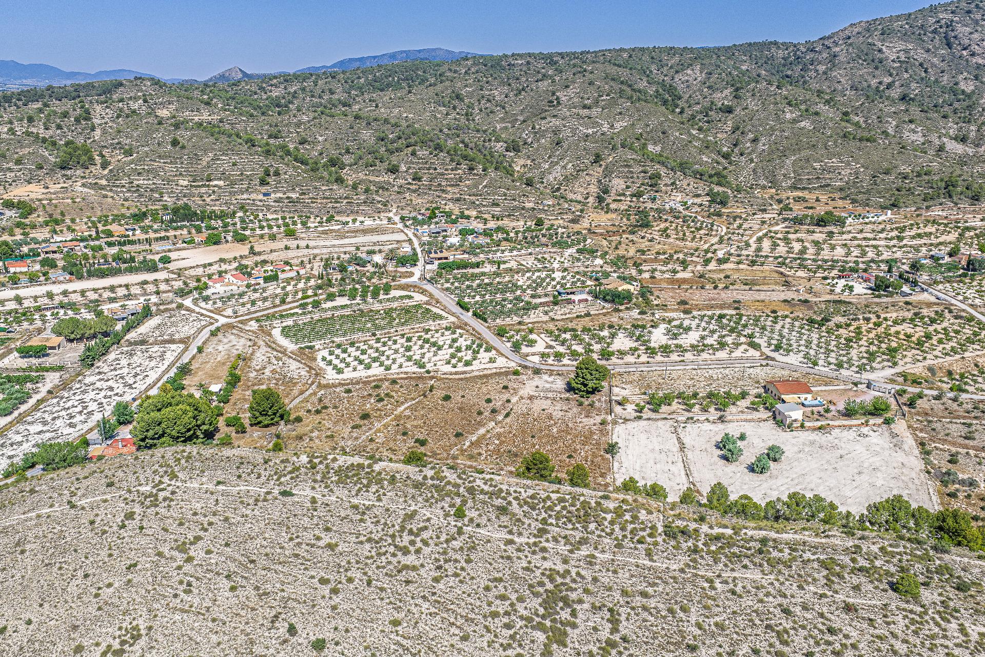 Country Land Of 0 M² In Monovar, Spain