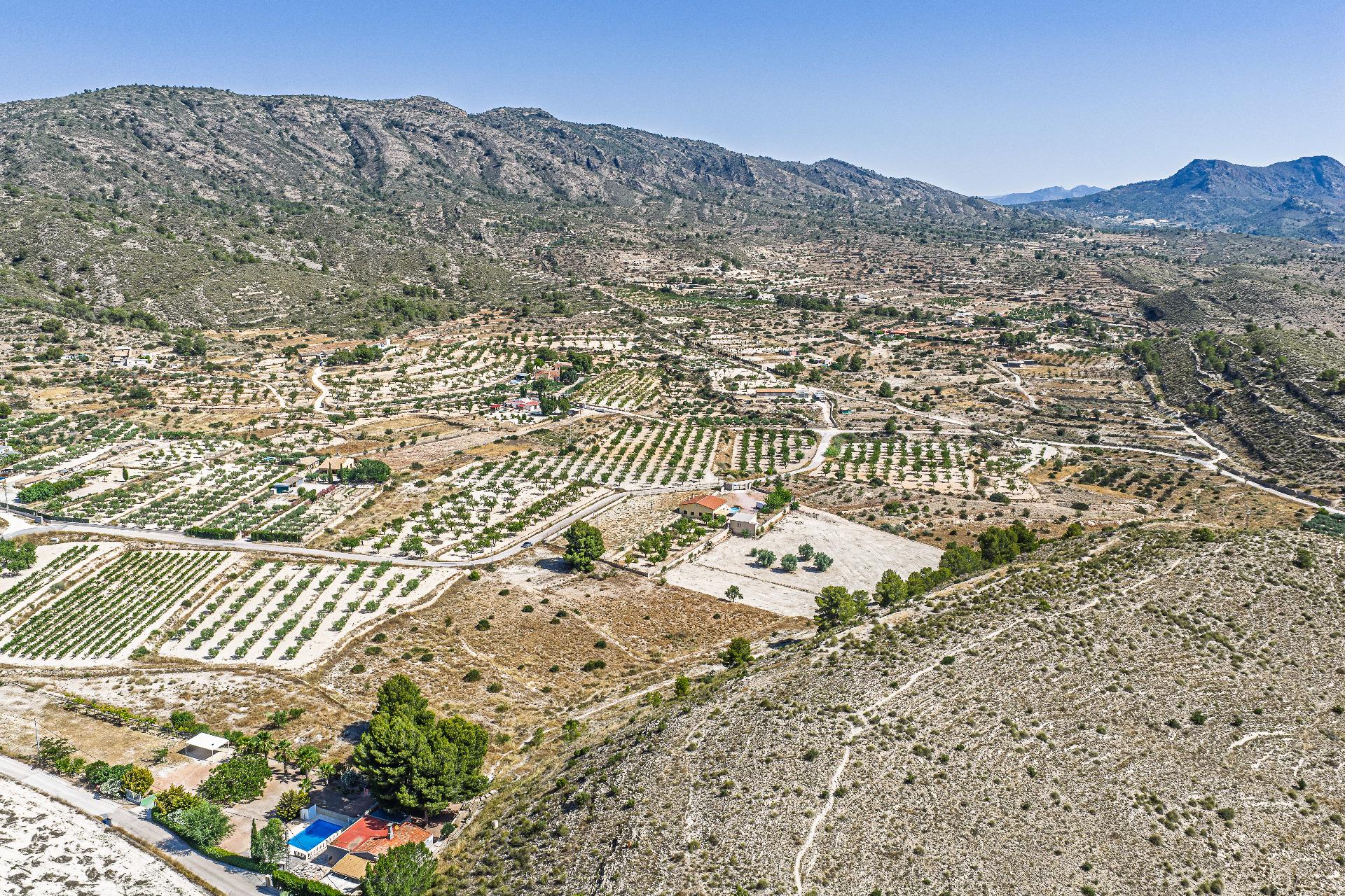 Country Land Of 0 M² In Monovar, Spain