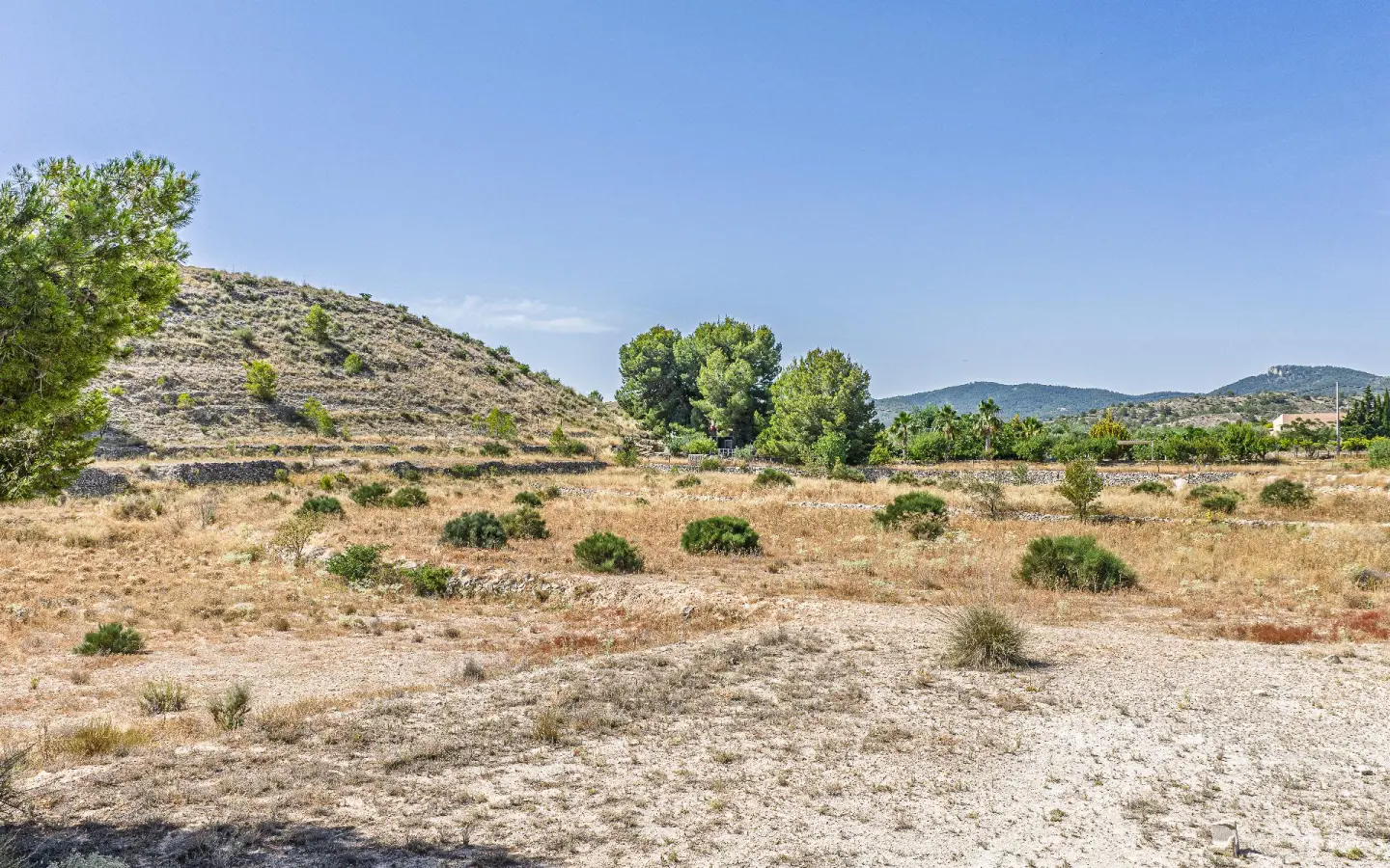 Country Land Of 0 M² In Monovar, Spain