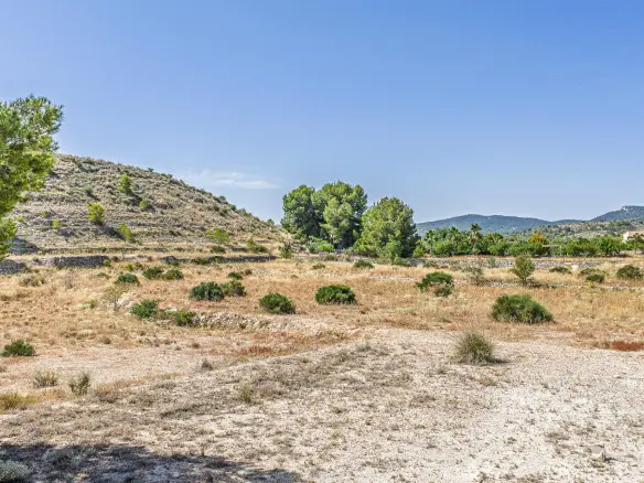 Country Land In Monovar – Monover, Spain (11.700 M² Plot)