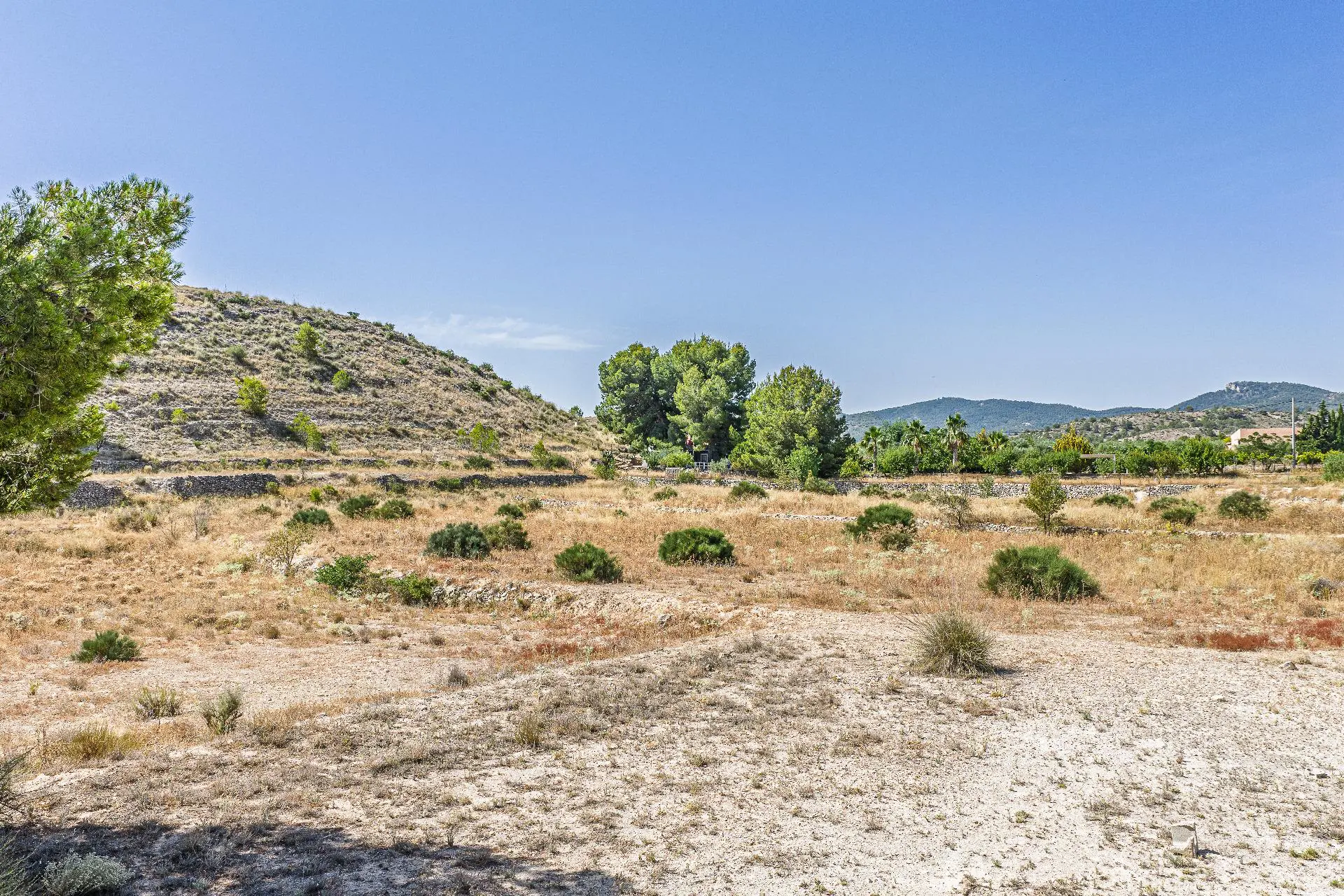 Country Land Of 0 M² In Monovar, Spain