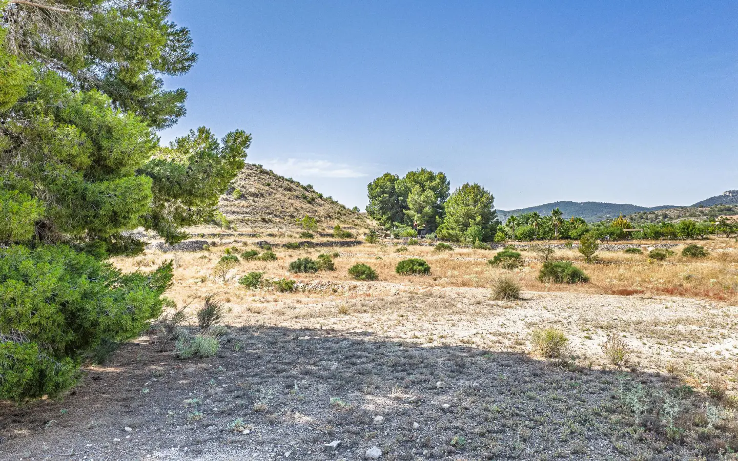 Country Land Of 0 M² In Monovar, Spain