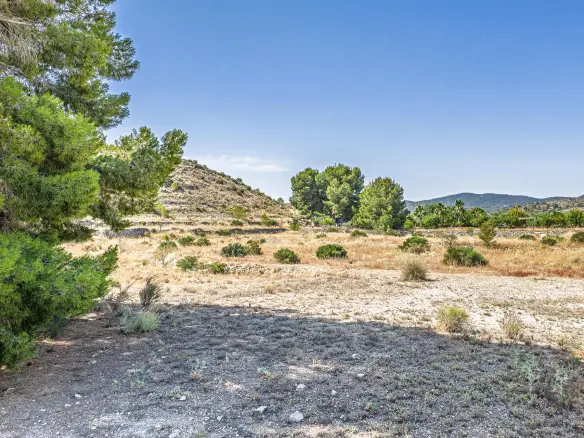 Country Land In Monovar – Monover, Spain (11.700 M² Plot)