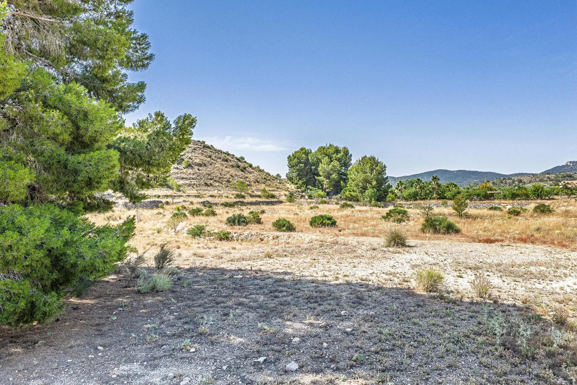 Country Land Of 0 M² In Monovar, Spain