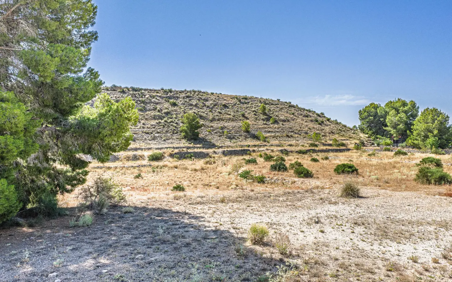 Country Land Of 0 M² In Monovar, Spain