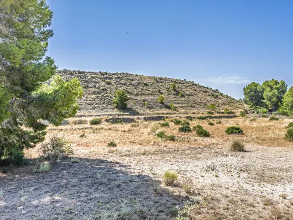 Country Land In Monovar – Monover, Spain (11.700 M² Plot)