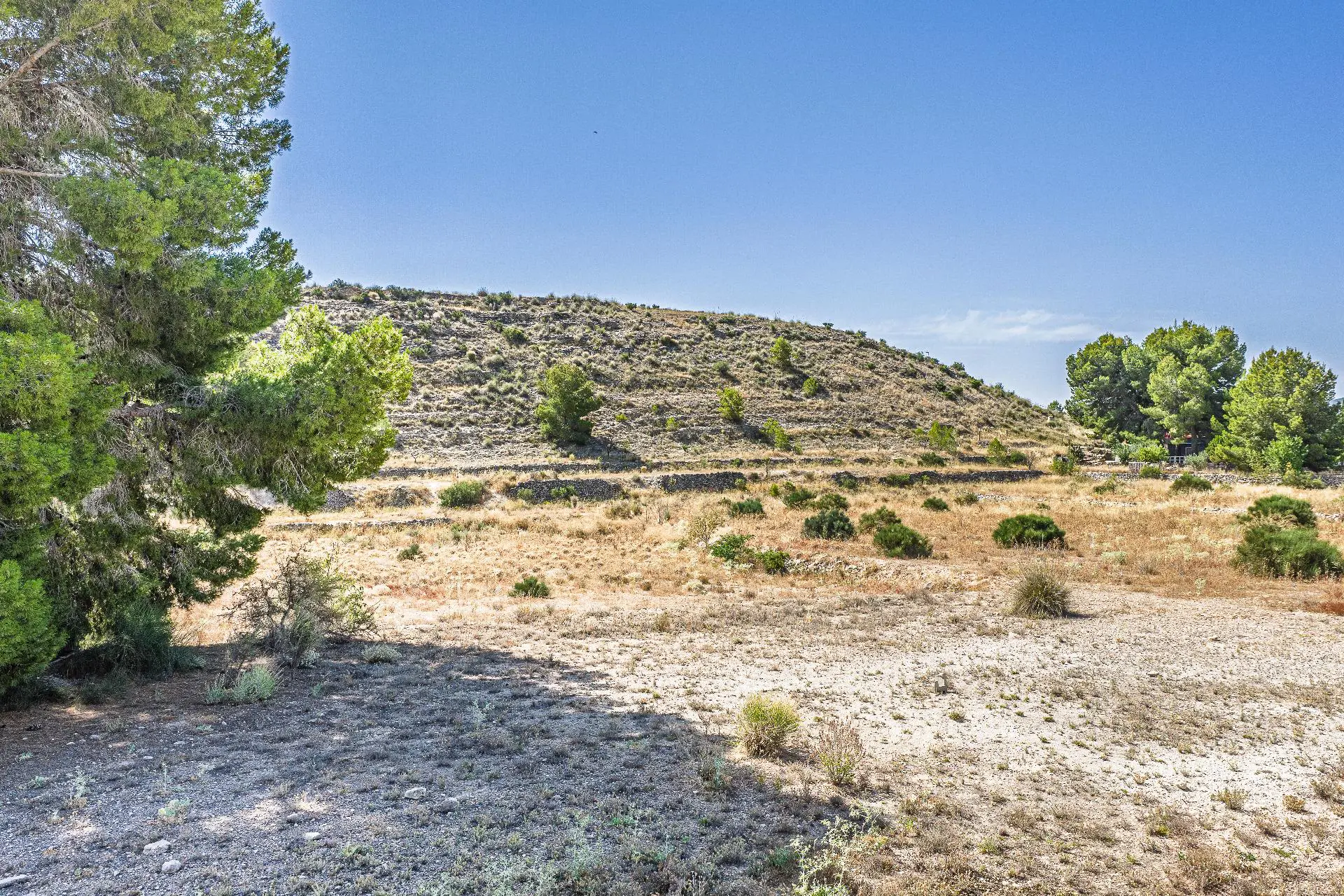 Country Land Of 0 M² In Monovar, Spain