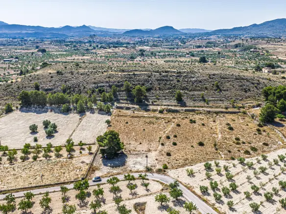 Country Land In Monovar – Monover, Spain (11.700 M² Plot)
