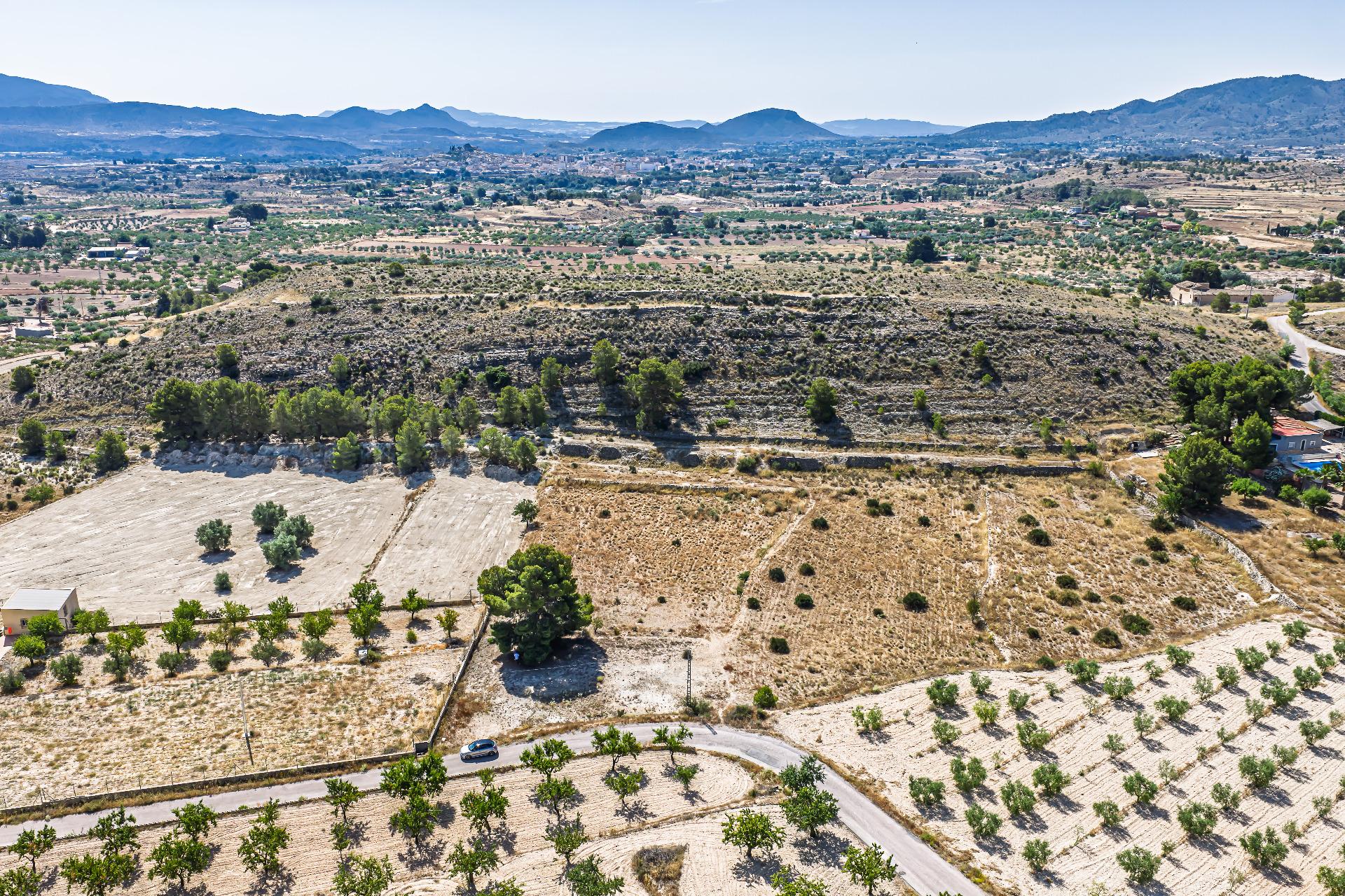 Country Land Of 0 M² In Monovar, Spain