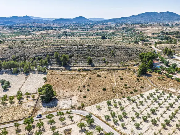Country Land In Monovar – Monover, Spain (11.700 M² Plot)