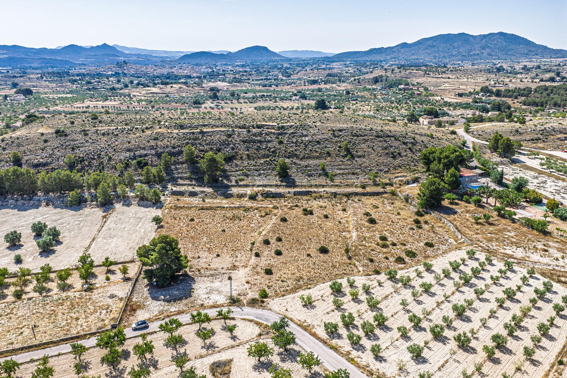 Country Land Of 0 M² In Monovar, Spain