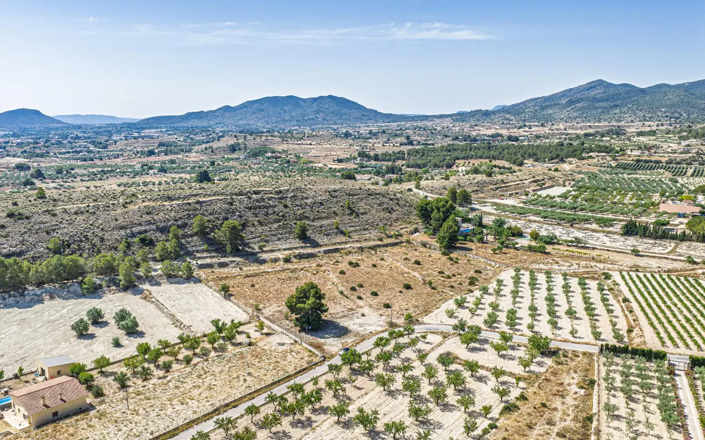 Country Land Of 0 M² In Monovar, Spain