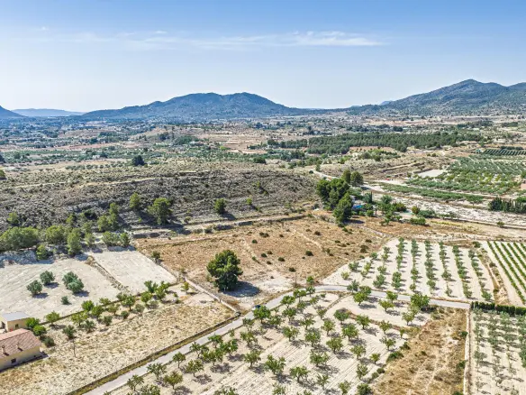 Country Land In Monovar – Monover, Spain (11.700 M² Plot)