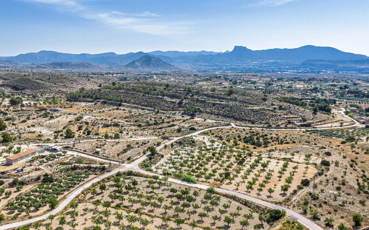 Country Land Of 0 M² In Monovar, Spain
