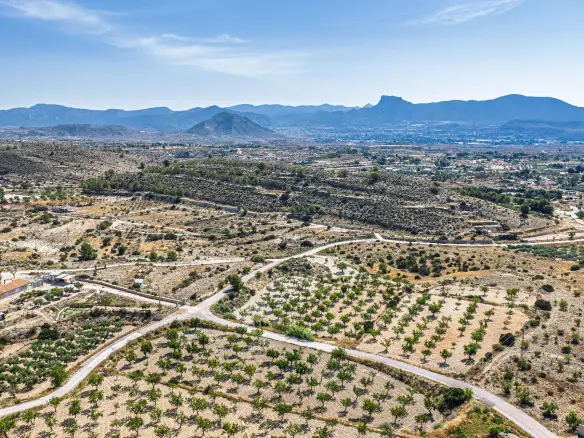 Country Land In Monovar – Monover, Spain (11.700 M² Plot)