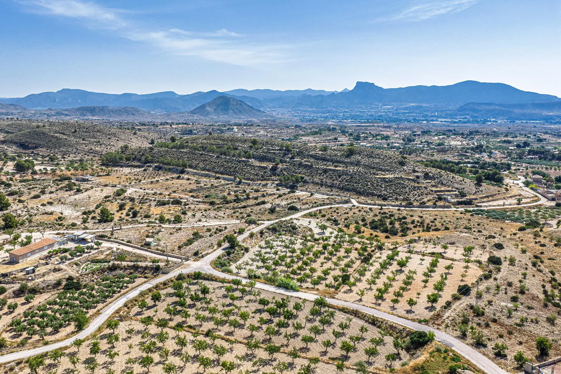 Country Land Of 0 M² In Monovar, Spain