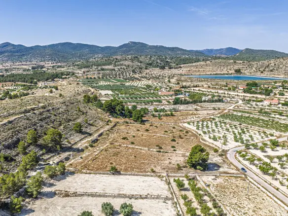Country Land In Monovar – Monover, Spain (11.700 M² Plot)