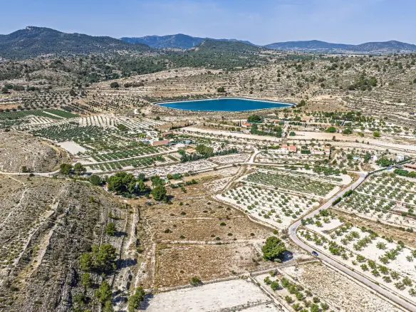 Country Land In Monovar – Monover, Spain (11.700 M² Plot)
