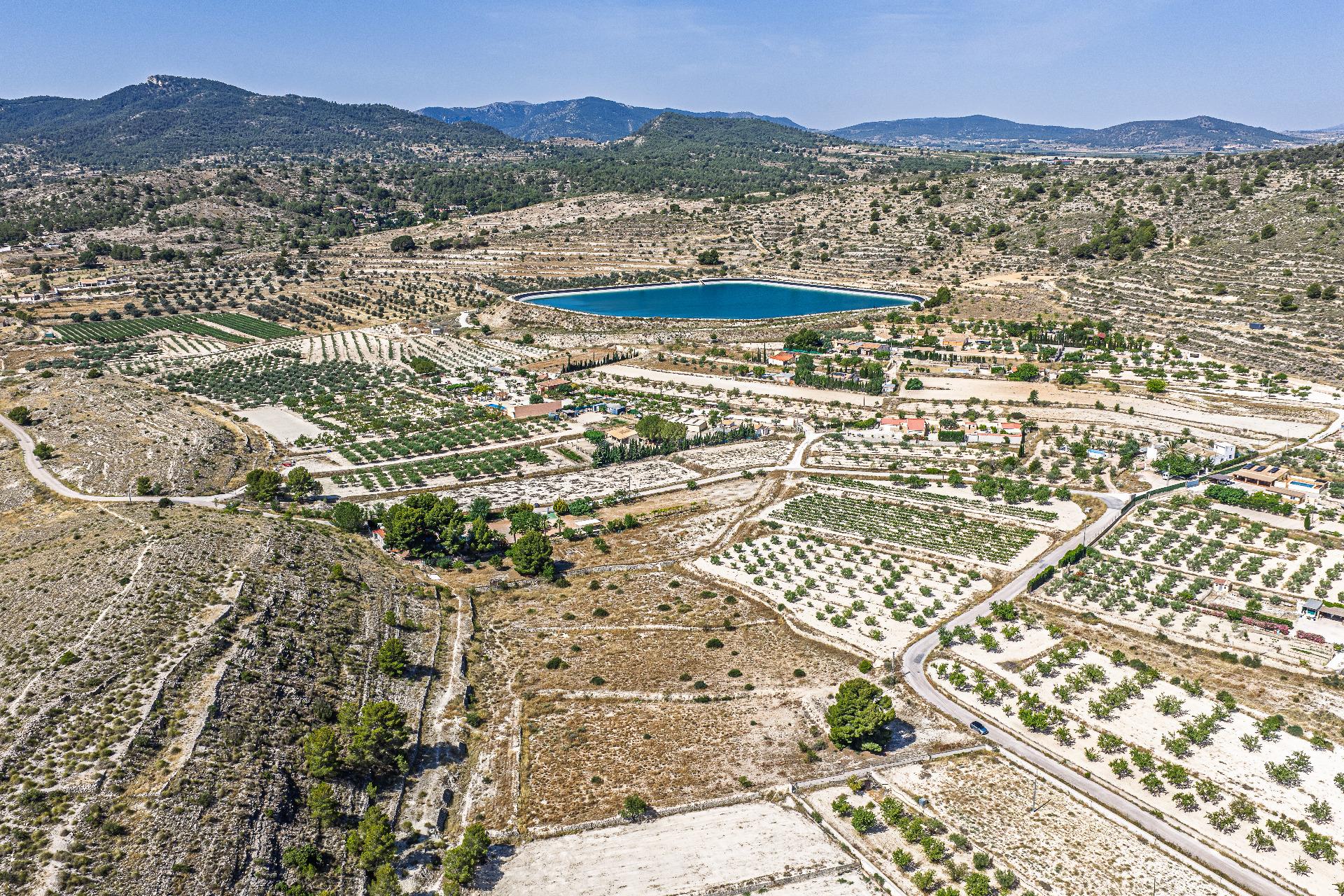 Country Land Of 0 M² In Monovar, Spain