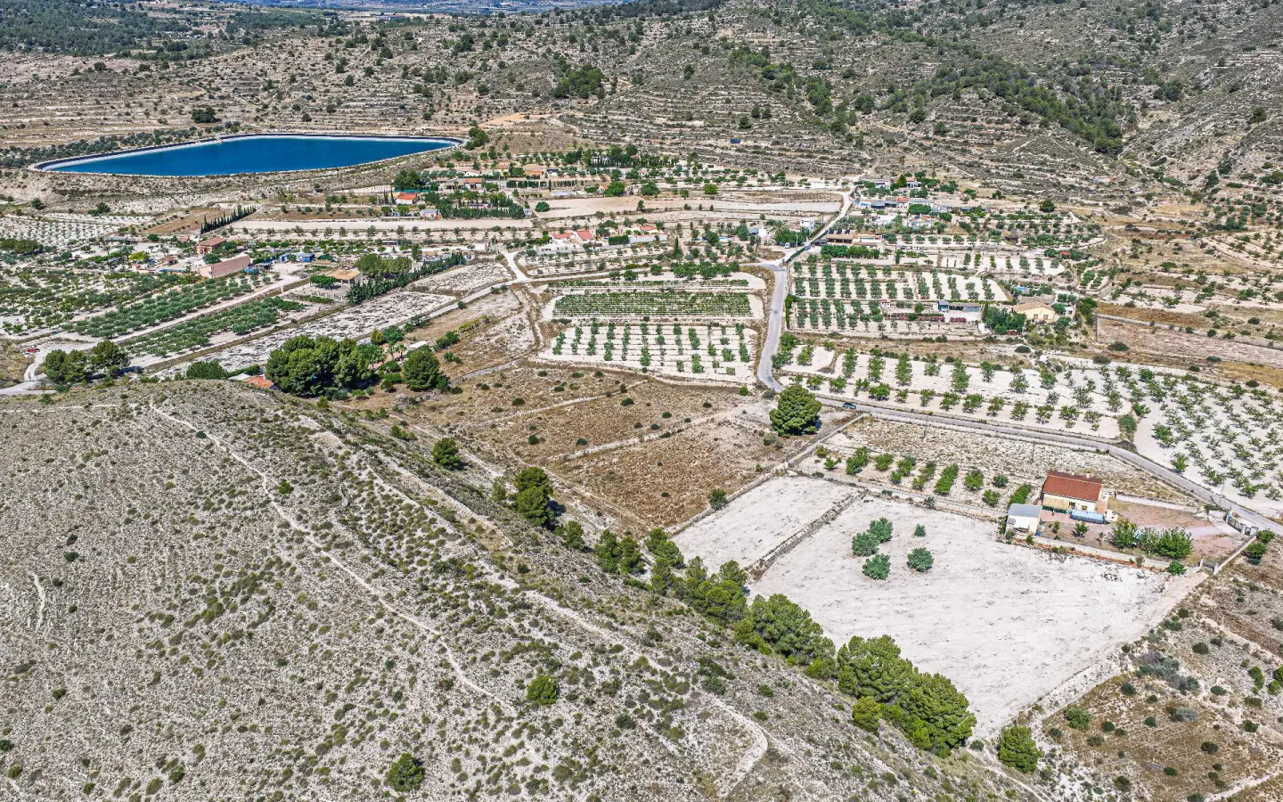 Country Land Of 0 M² In Monovar, Spain