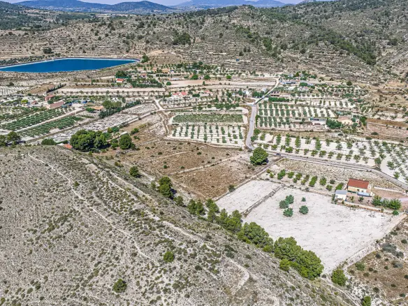 Country Land In Monovar – Monover, Spain (11.700 M² Plot)