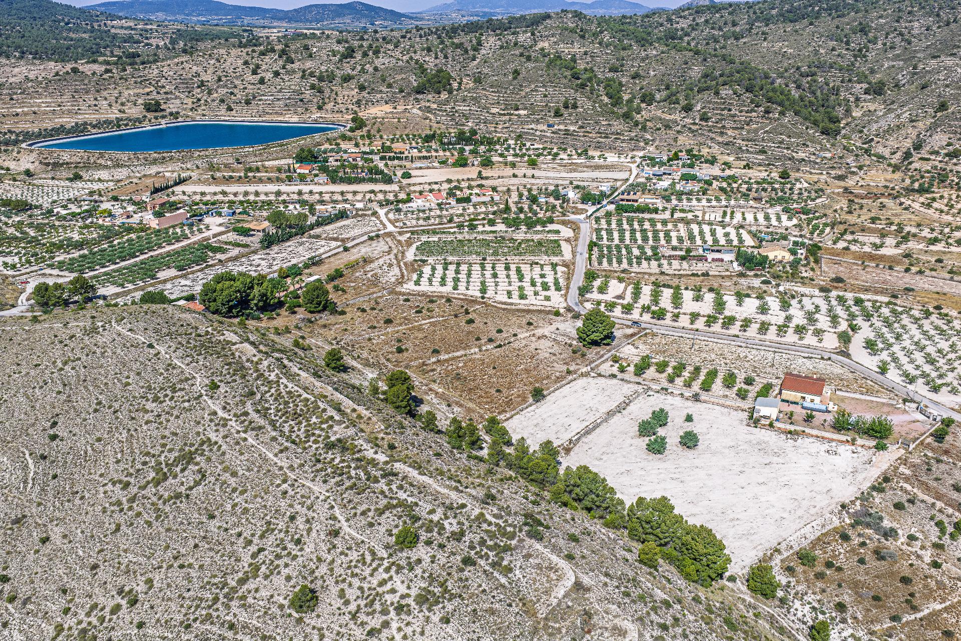 Country Land Of 0 M² In Monovar, Spain