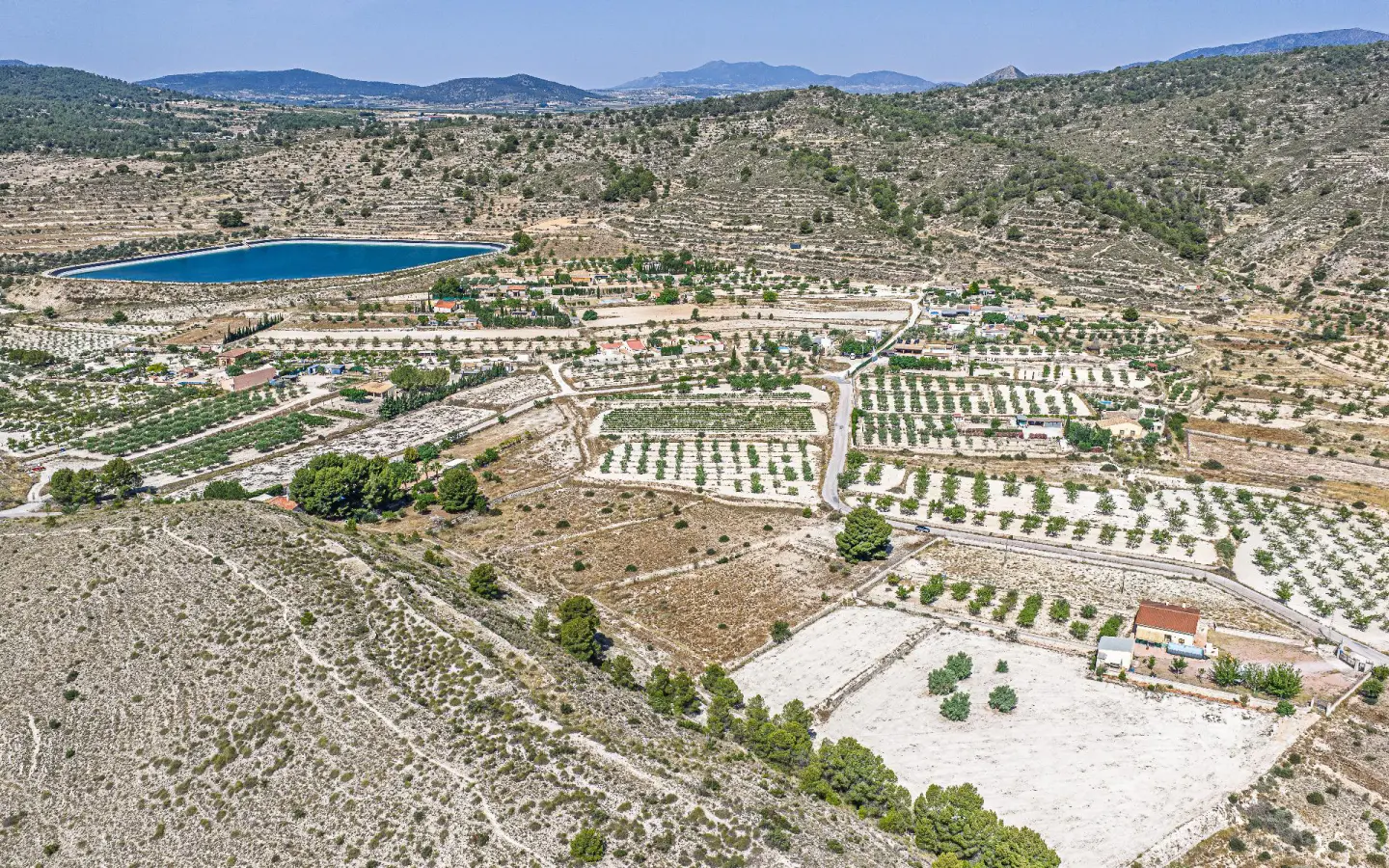 Country Land Of 0 M² In Monovar, Spain