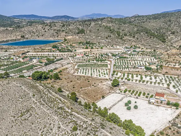 Country Land In Monovar – Monover, Spain (11.700 M² Plot)