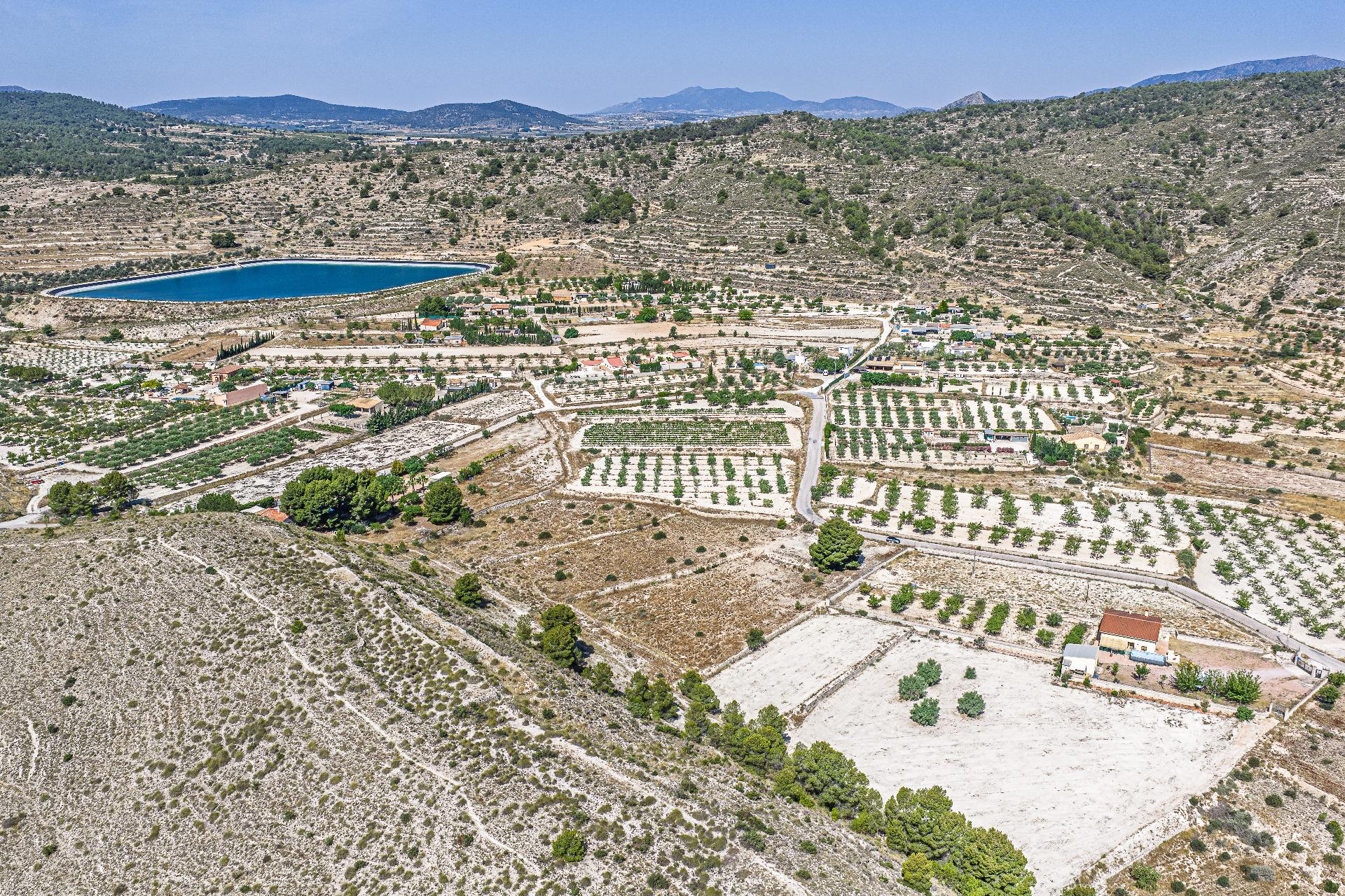Country Land Of 0 M² In Monovar, Spain
