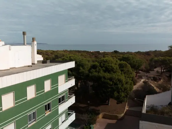 1-bedroom Apartment In Guardamar Del Segura, Spain (57 M²)