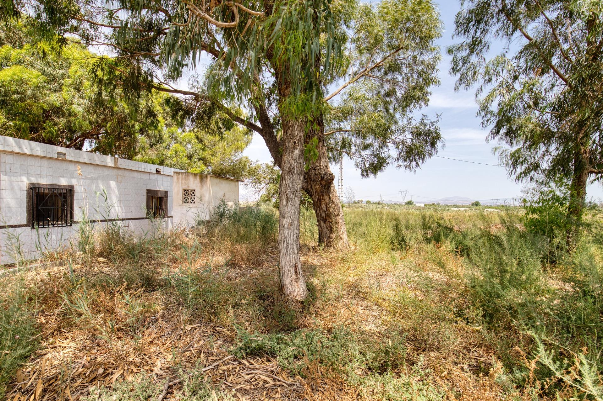 Country House Of 60 M² In La Marina, Spain