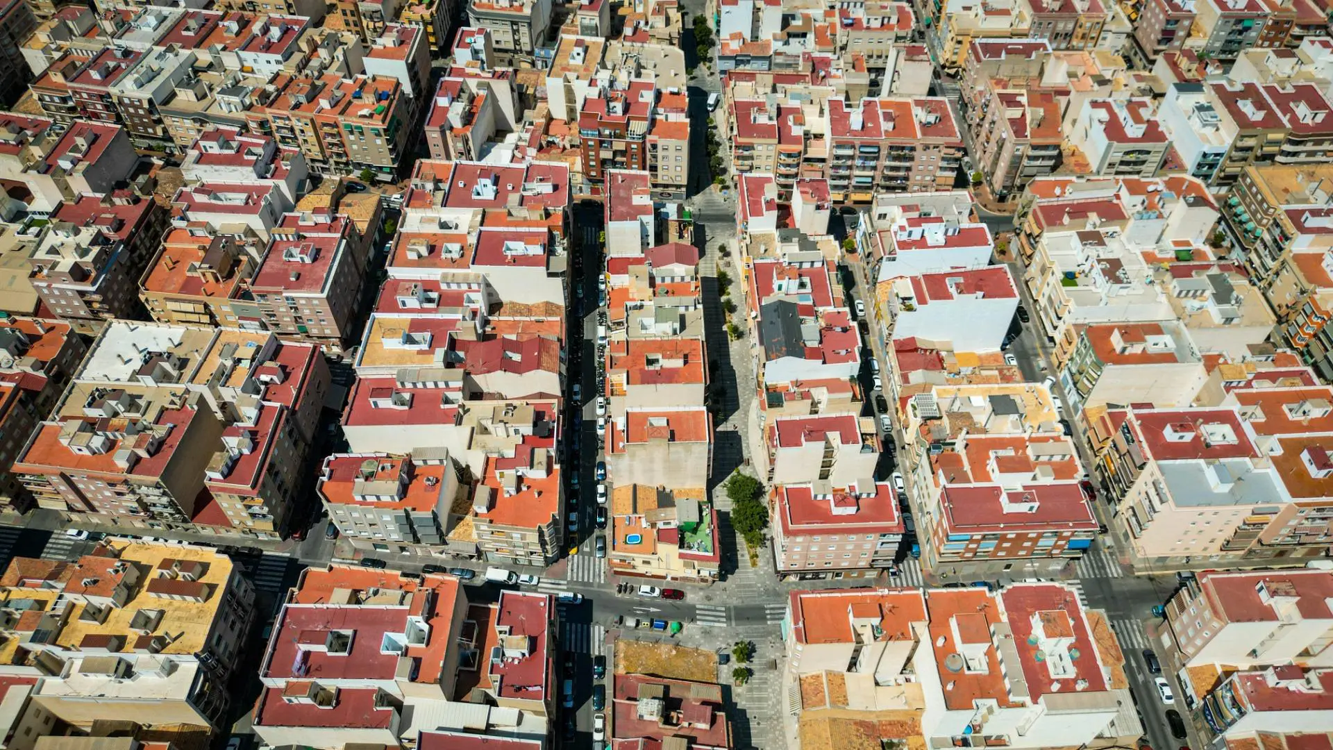 Commercial Unit 98 In Elche, Spain