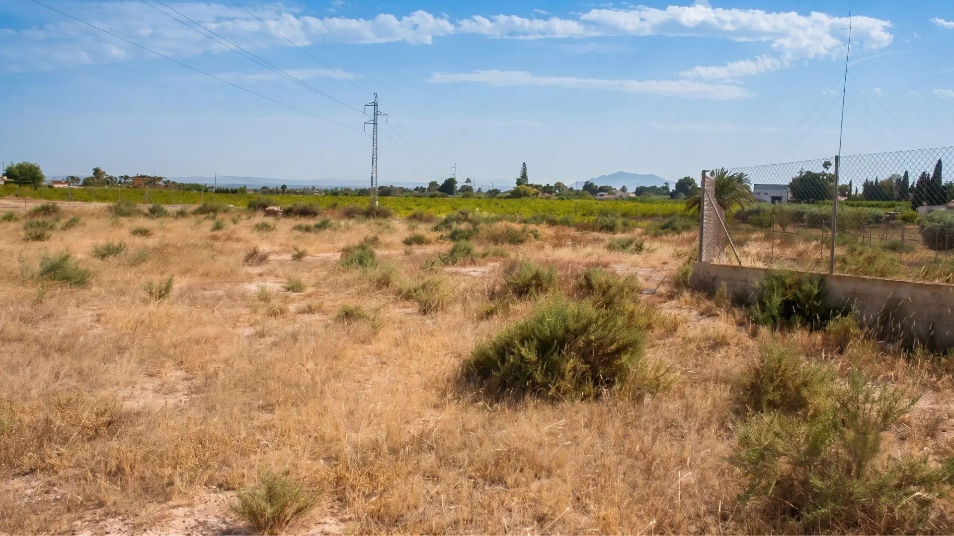 Industrial Unit Of 377 M² In Elche Pedanias, Spain