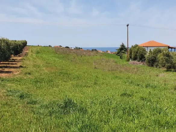 Land Of 5500 M² In Kassandra, Chalkidiki