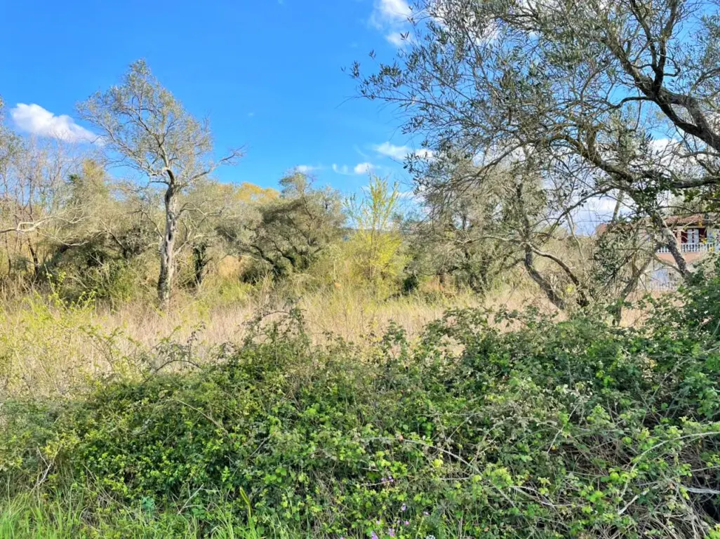 Land Of 4100 M² In Corfu