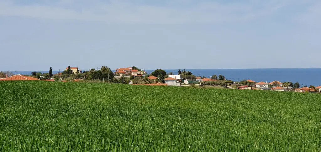 Land Of 10500 M² In Kassandra, Chalkidiki