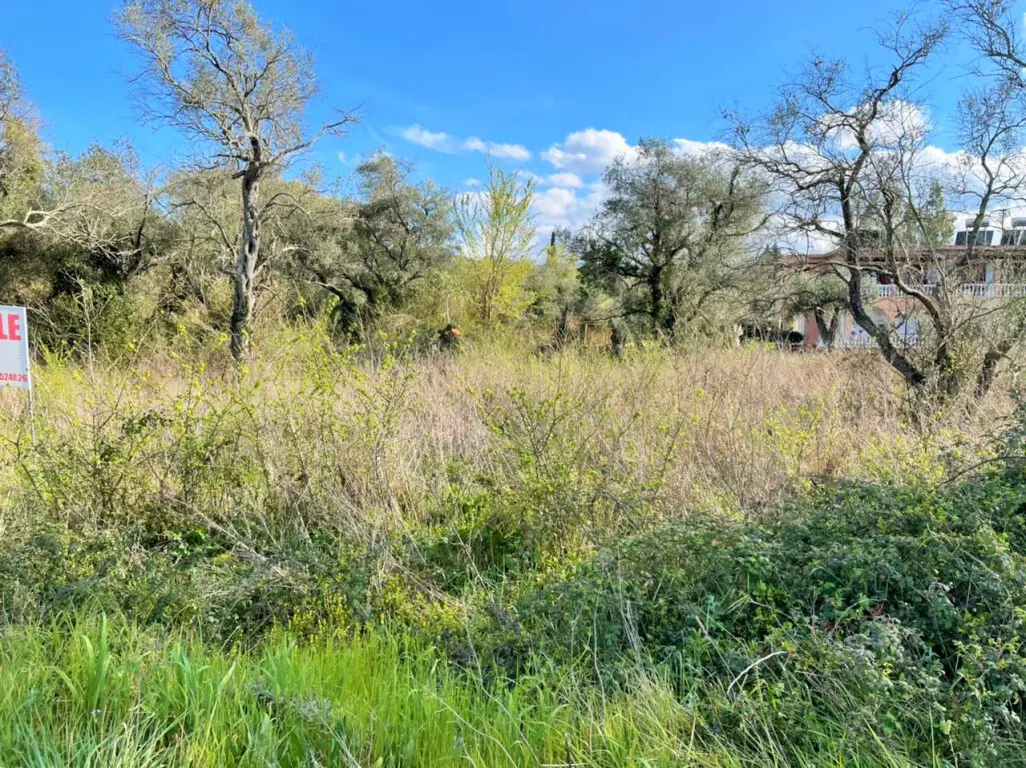 Land Of 4100 M² In Corfu