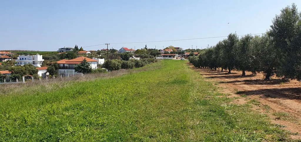 Land Of 5500 M² In Kassandra, Chalkidiki