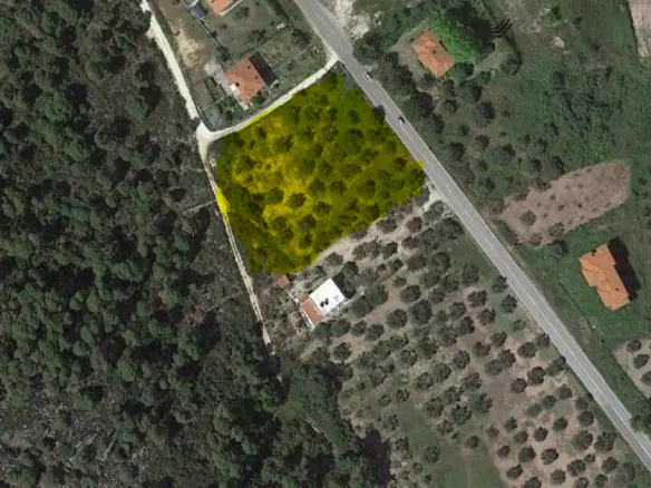 Land In Sithonia, Greece