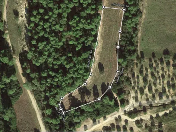 Land Of 5233 M² In Kassandra, Chalkidiki