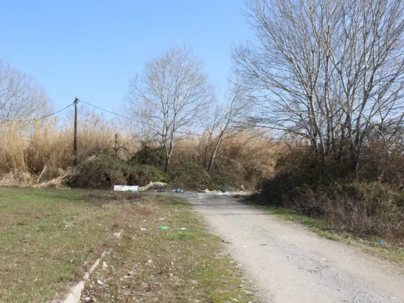 Land In Katerini, Greece