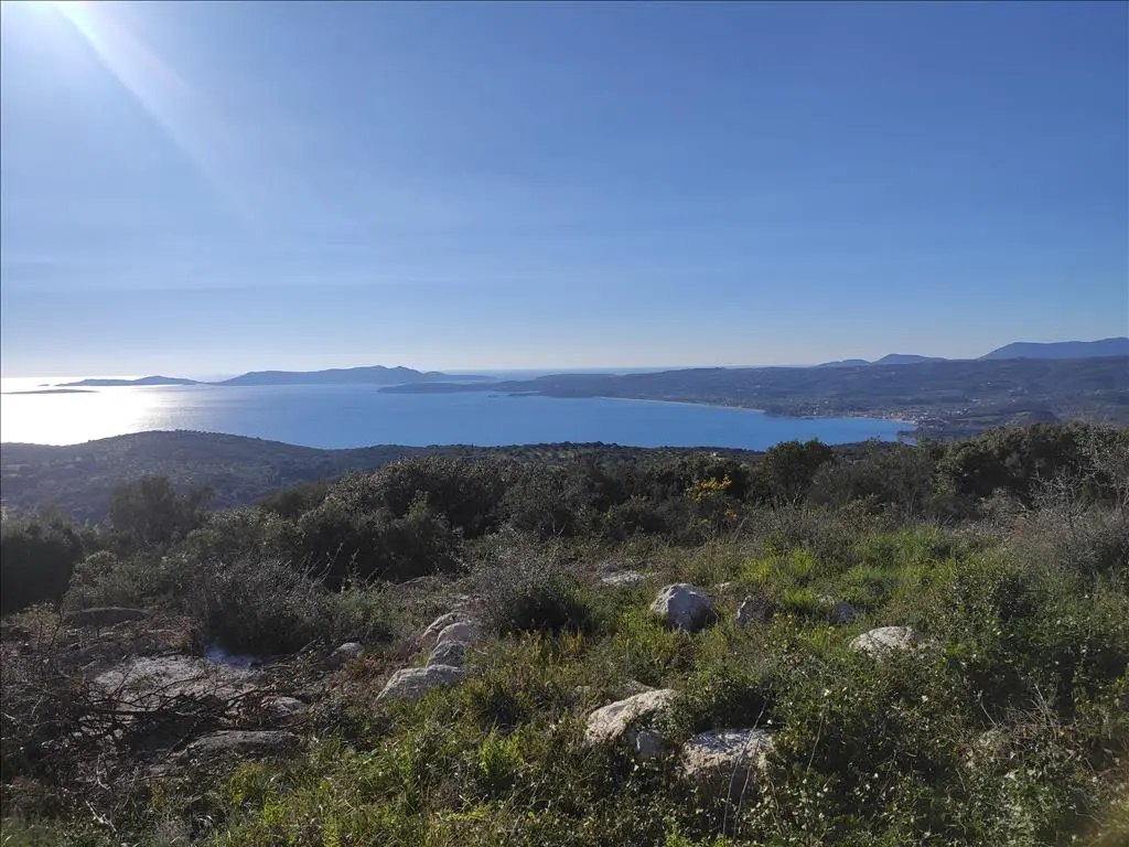 Land Of 4500 M² In Western Peloponnese