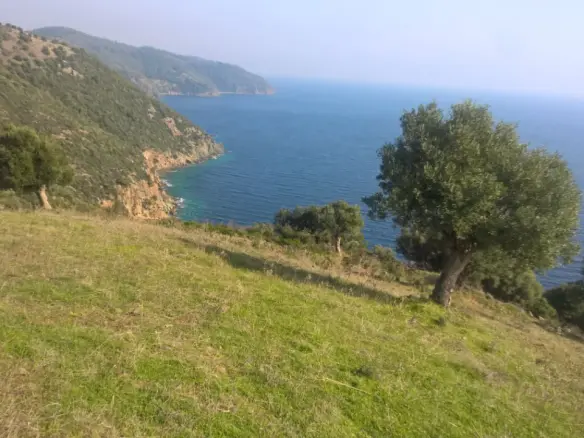 Grundstück von 6000 m² in Kassandra, Chalkidiki