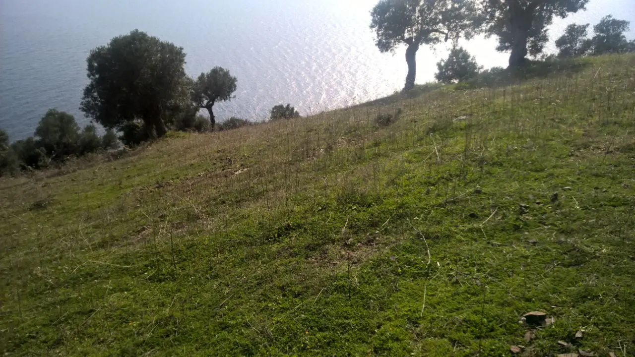 Land Of 6000 M² In Kassandra, Chalkidiki