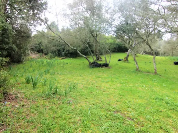Land In Corfu, Greece