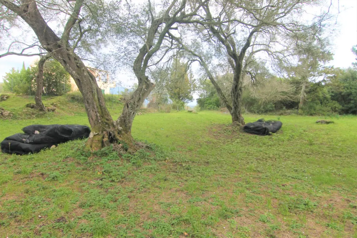 Land Of 4216 M² In Corfu